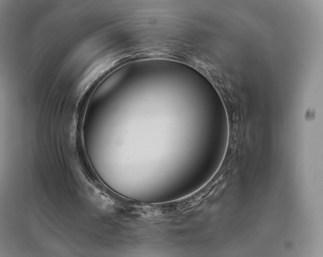 X0000094430194200711081234