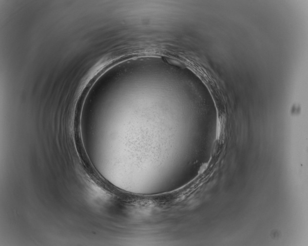 X0000094430195200711081233