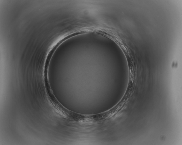 X0000094430196200711081233