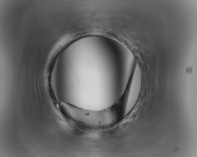 X0000094430197200711081233