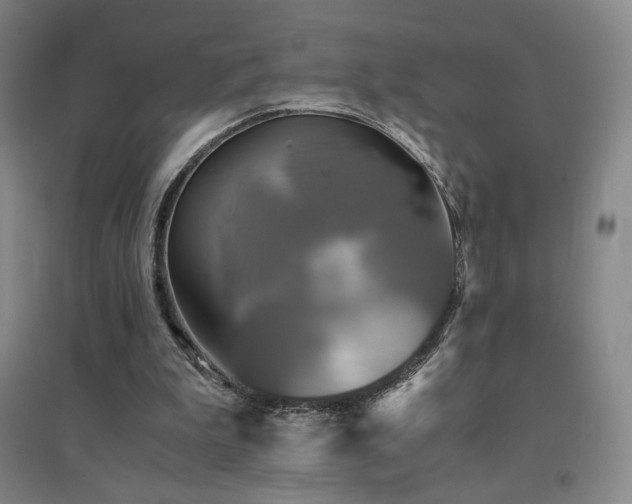 X0000094430199200711081233