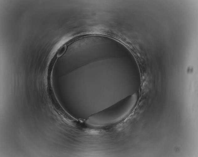 X0000094430200200711081233