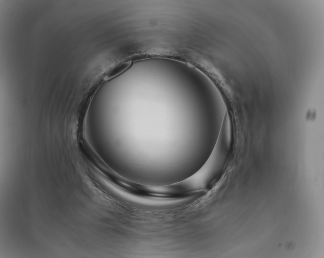 X0000094430201200711081233
