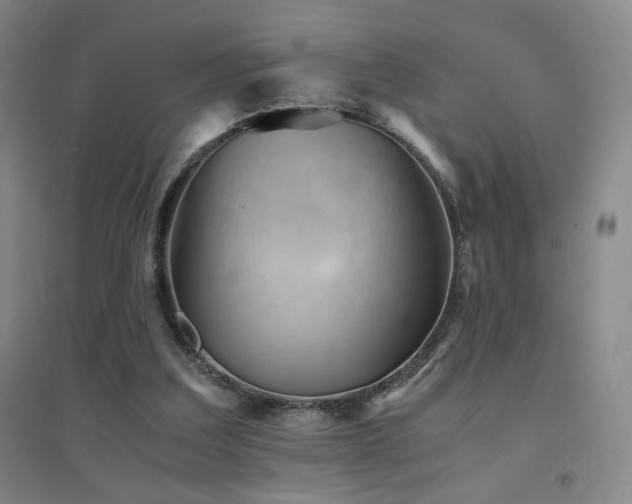 X0000094430203200711081233
