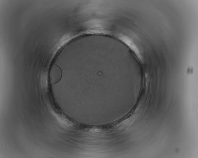 X0000094430204200711081233