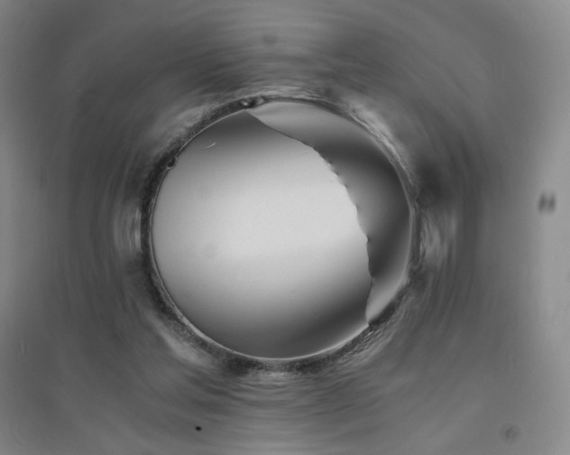 X0000094430205200711081233