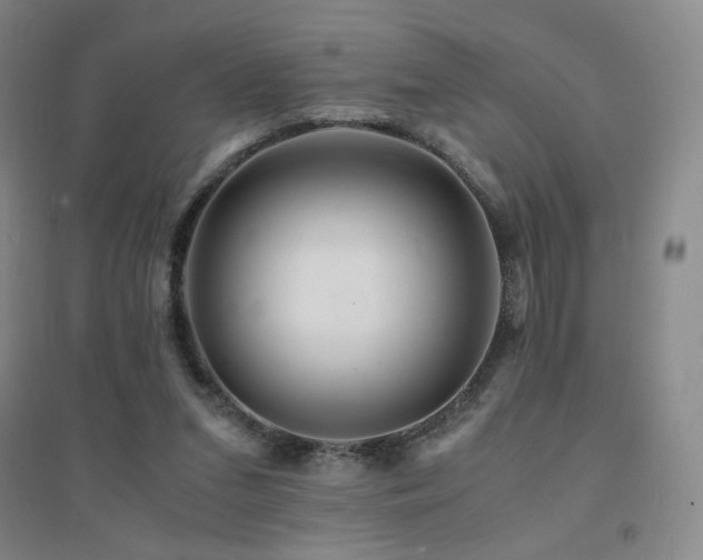X0000094430207200711081233