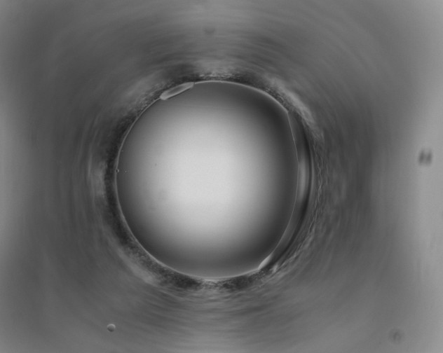 X0000094430209200711081233