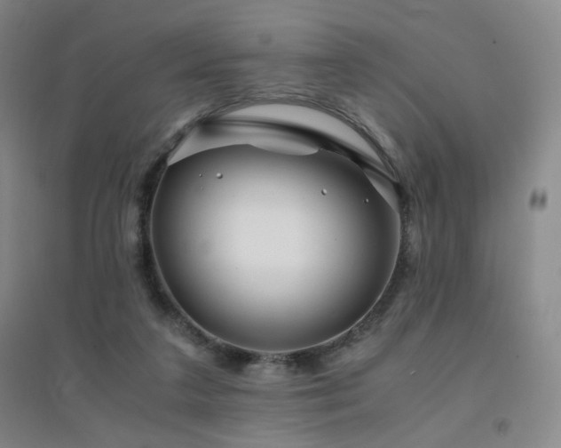X0000094430211200711081233