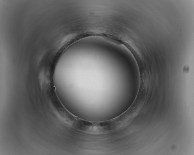 X0000094430212200711081233