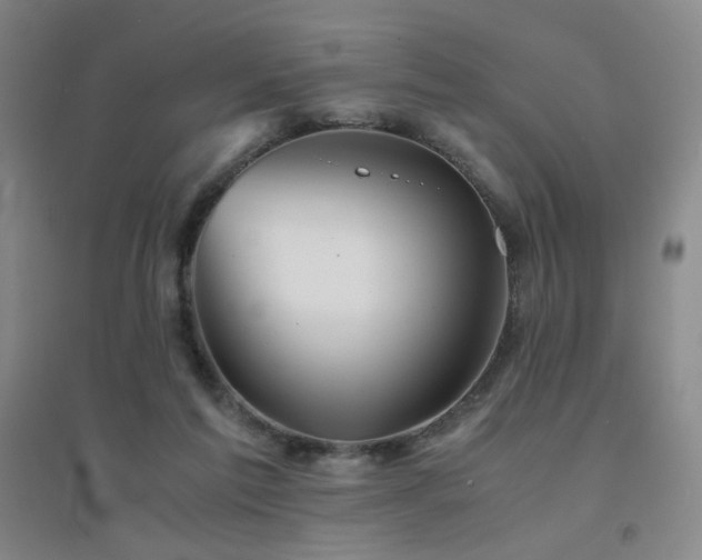 X0000094430213200711081233