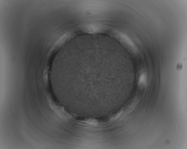 X0000094430214200711081233