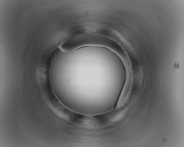 X0000094430215200711081233