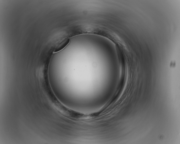 X0000094430217200711081233