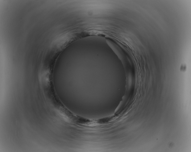 X0000094430219200711081233