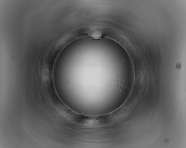 X0000094430220200711081233