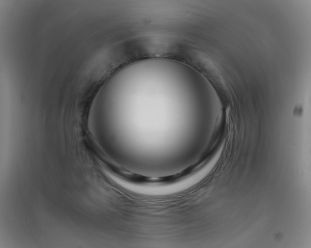 X0000094430221200711081233