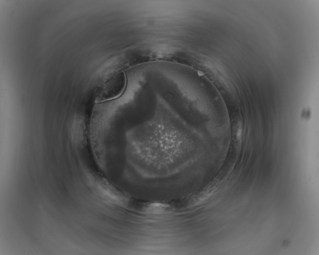 X0000094430222200711081233