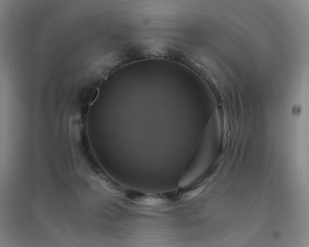X0000094430223200711081233