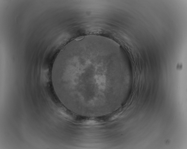 X0000094430224200711081233