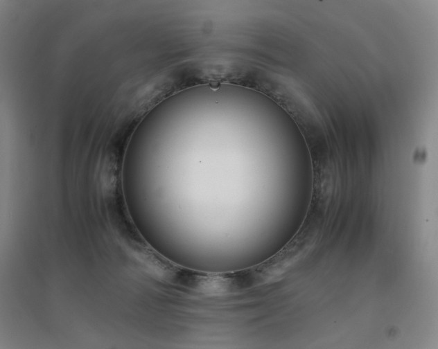 X0000094430226200711081233