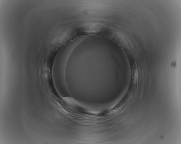 X0000094430227200711081233