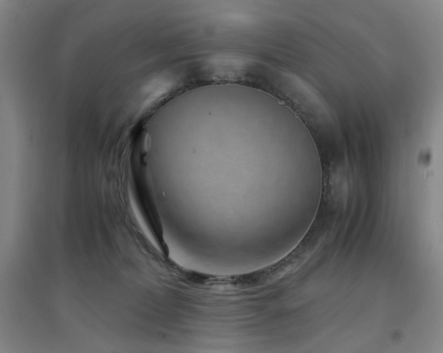X0000094430228200711081233
