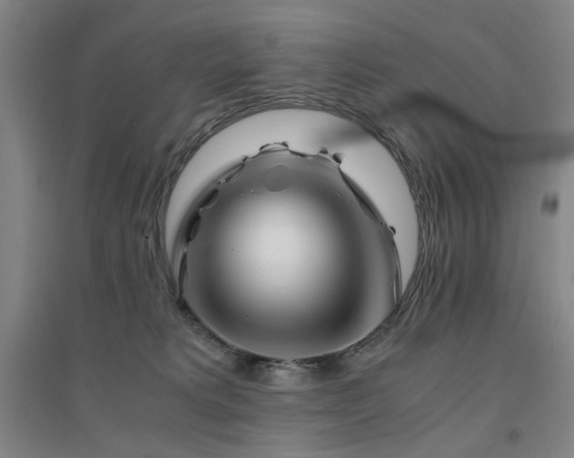 X0000094430229200711081233