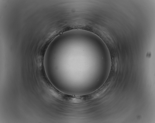 X0000094430232200711081233