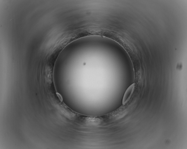 X0000094430234200711081233