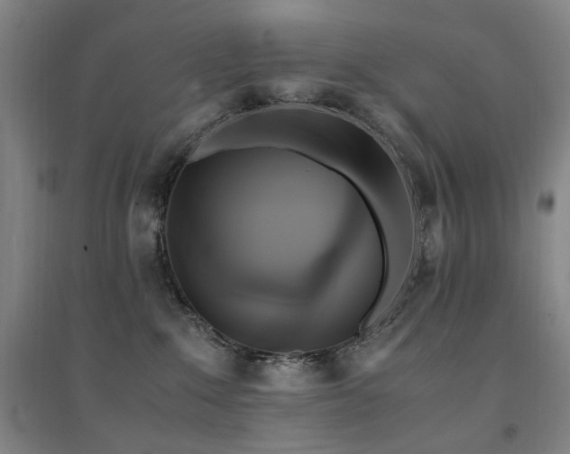 X0000094430235200711081233