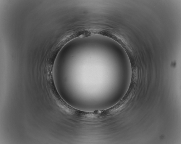 X0000094430237200711081233