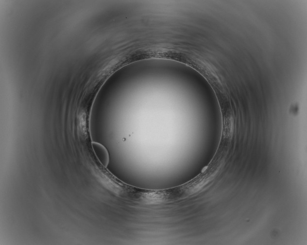 X0000094430238200711081233