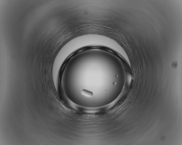X0000094430239200711081233