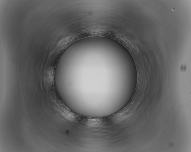 X0000094430240200711081233