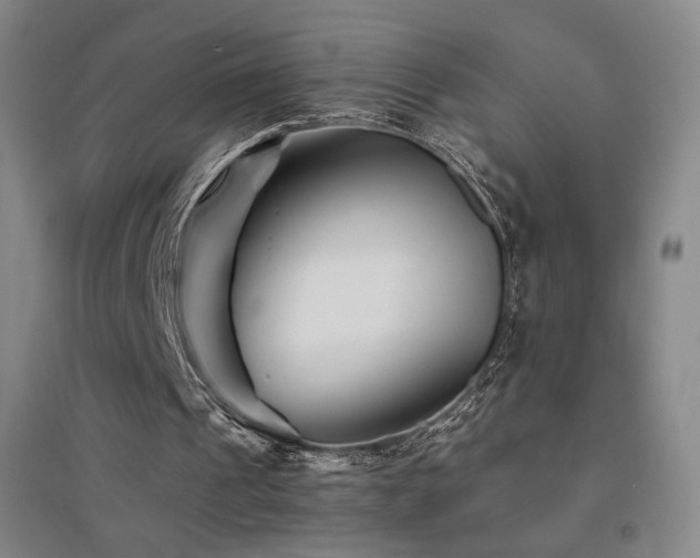X0000094430241200711081232