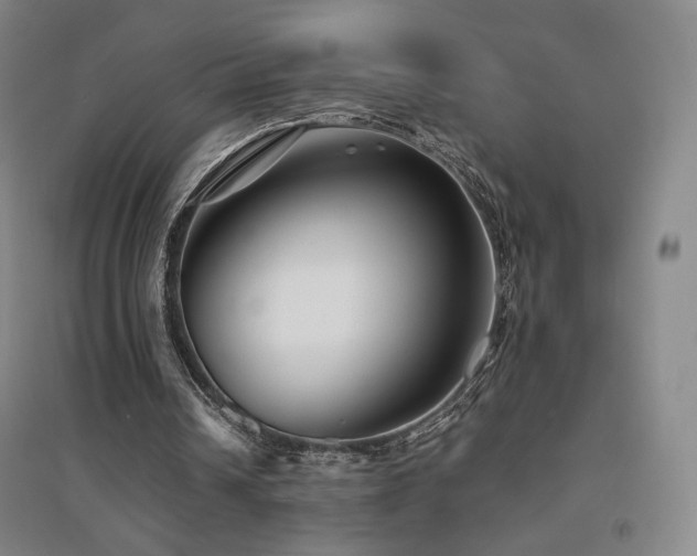 X0000094430242200711081232