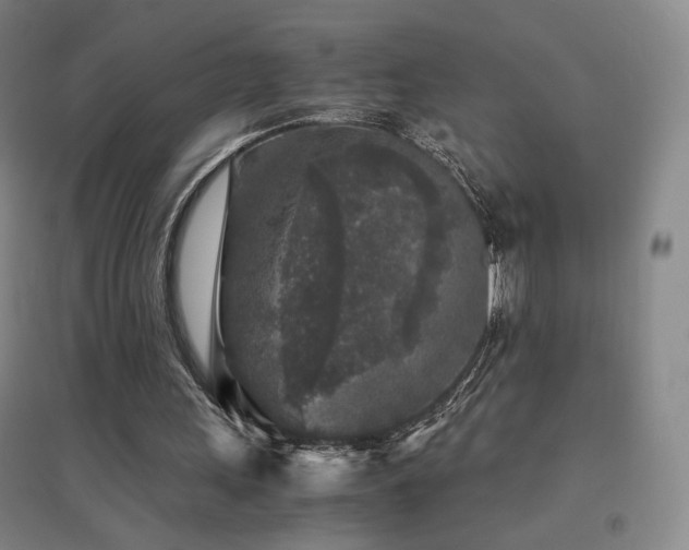 X0000094430243200711081232