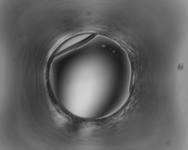 X0000094430244200711081232