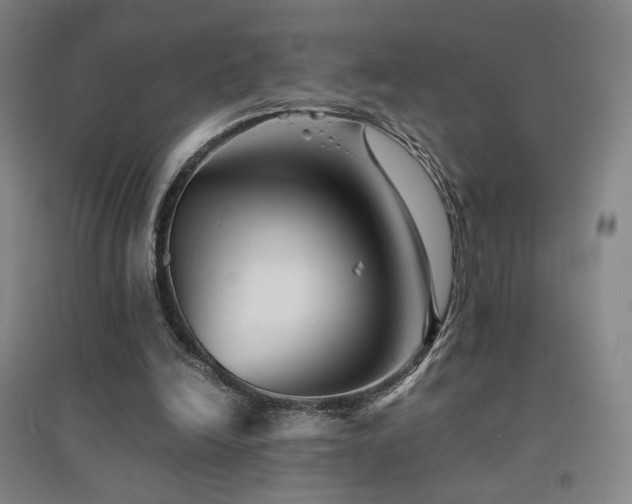 X0000094430246200711081232