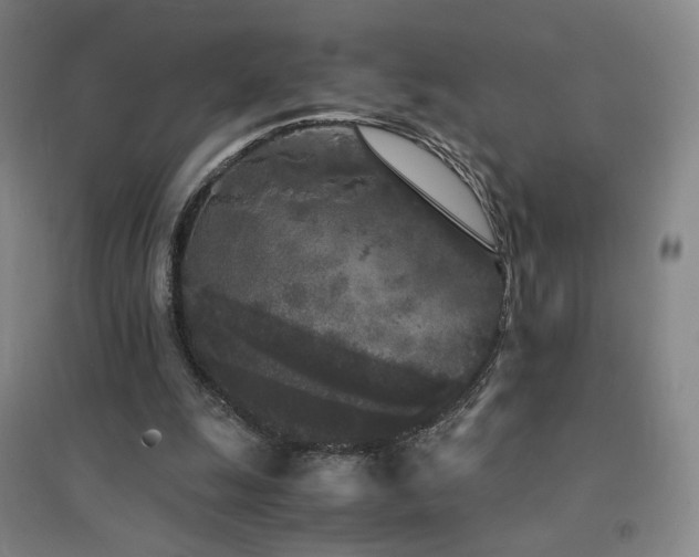 X0000094430247200711081232