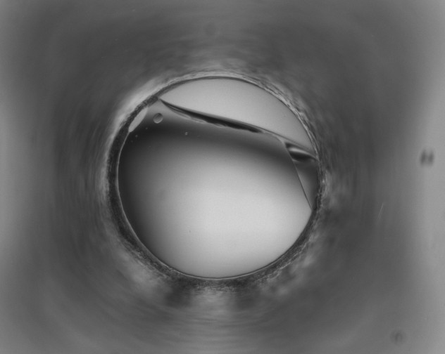 X0000094430248200711081232