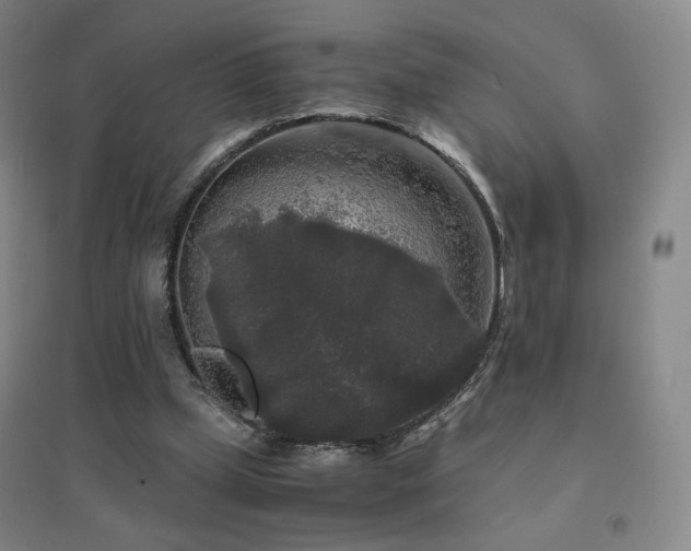 X0000094430249200711081232