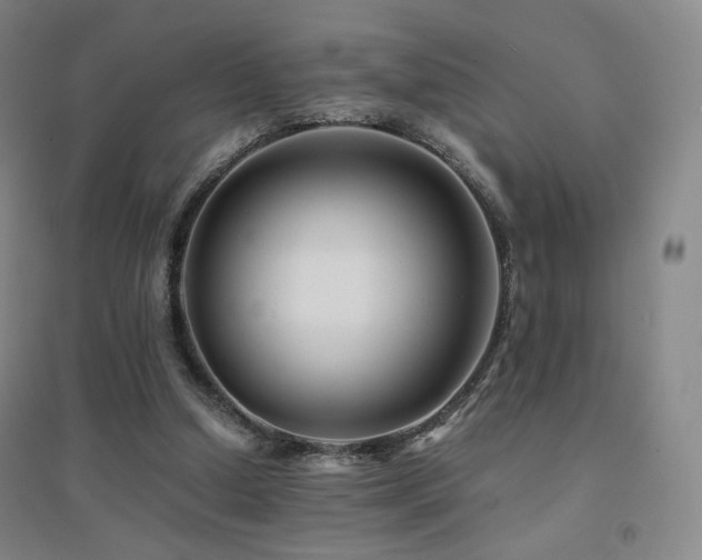 X0000094430250200711081232