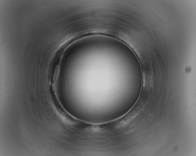 X0000094430253200711081232