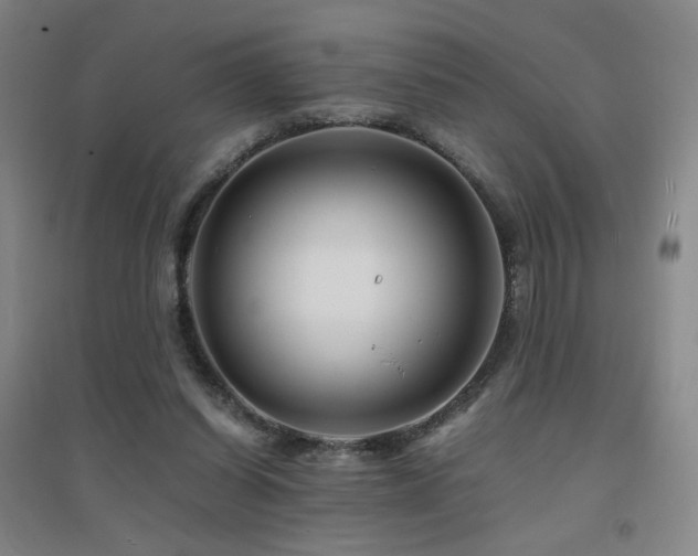 X0000094430254200711081232