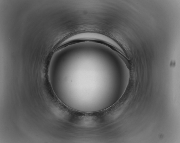 X0000094430255200711081232