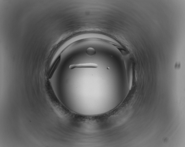 X0000094430256200711081232