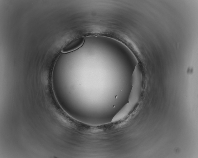 X0000094430257200711081232