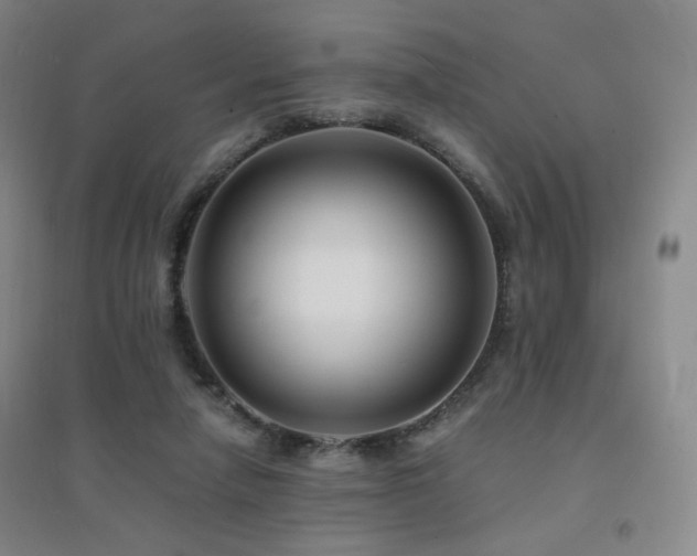X0000094430258200711081232